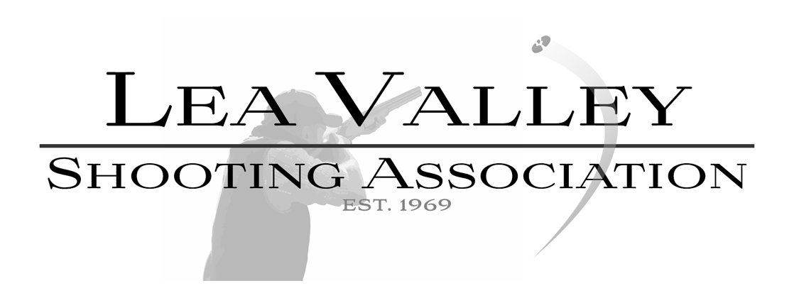 LVSA logo